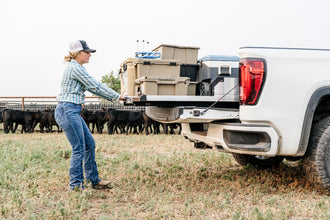 Charger l'image dans la galerie, Ford Ranger Extra/Super Cab
